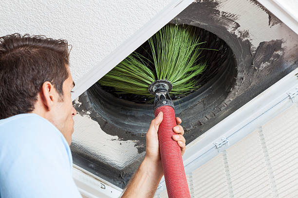 Air Duct Mold Removal in Bartonsville, MD